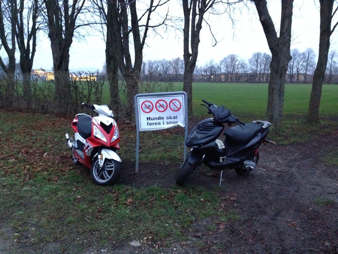 CPI Oliver billede 11