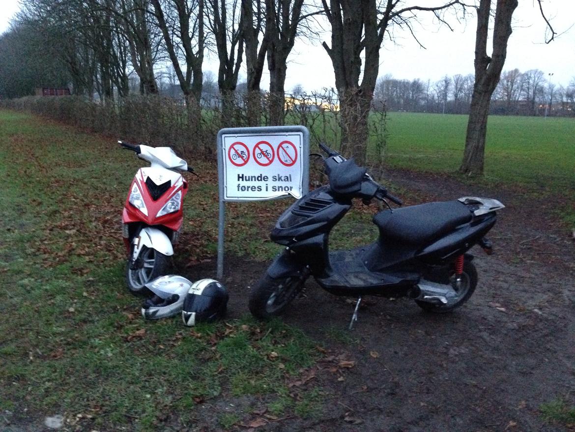 CPI Oliver billede 12