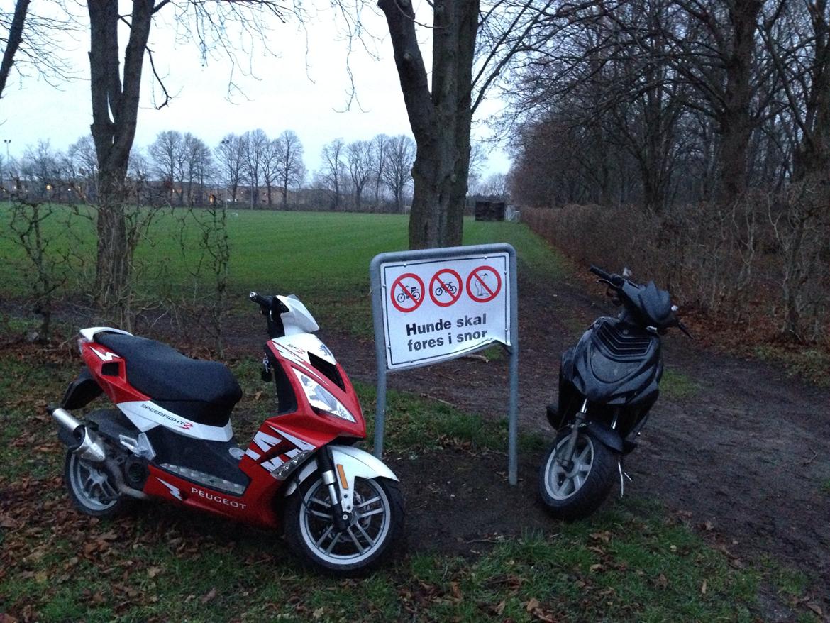 CPI Oliver billede 13