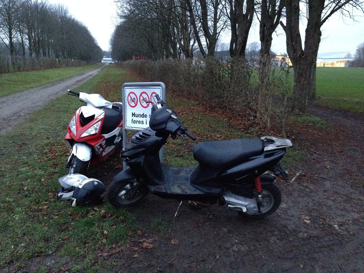 CPI Oliver billede 14