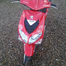 Peugeot Speedfight 2 206 WRC