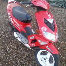 Peugeot Speedfight 2 206 WRC