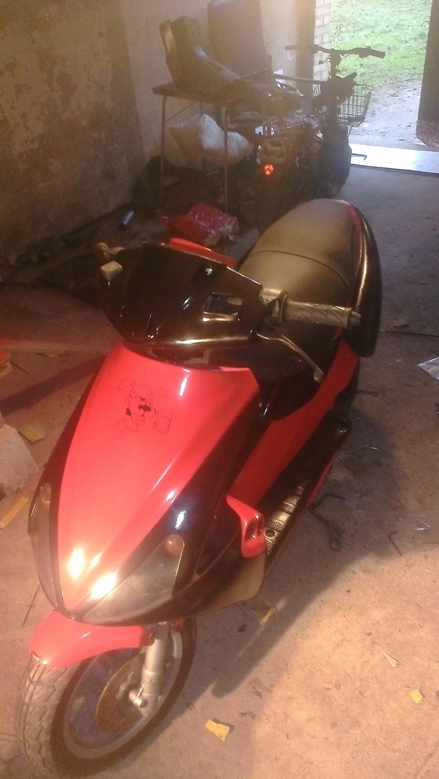 Benelli 491 st ac *Gerda* billede 1