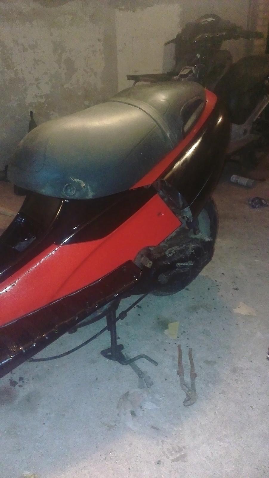 Benelli 491 st ac *Gerda* billede 6