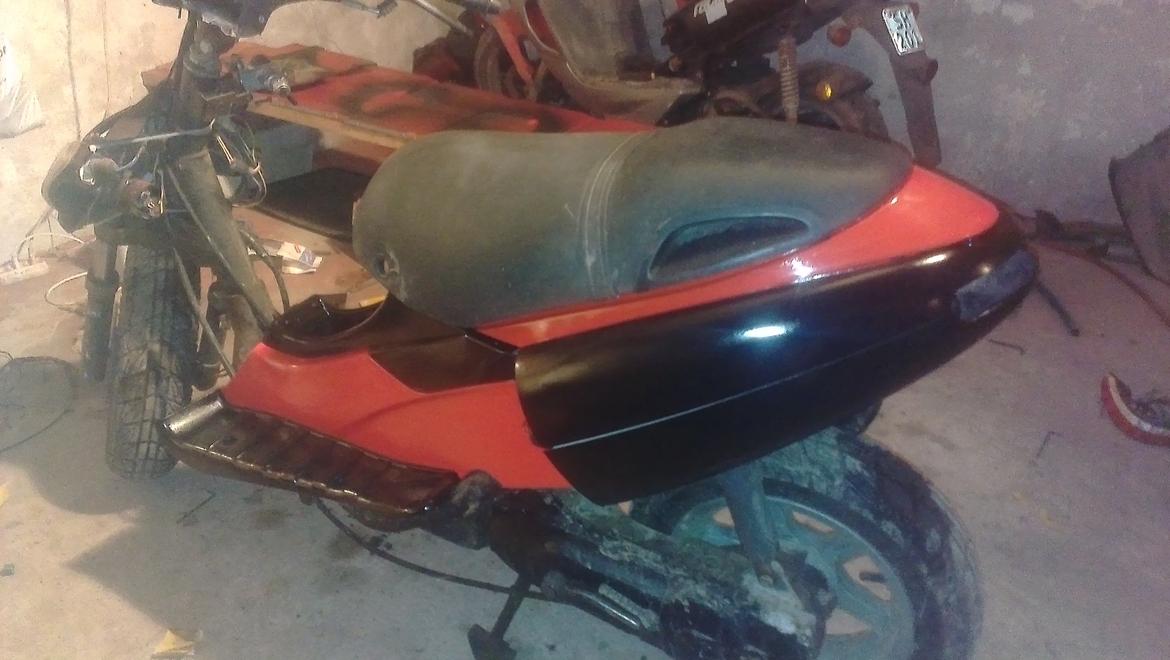 Benelli 491 st ac *Gerda* billede 7