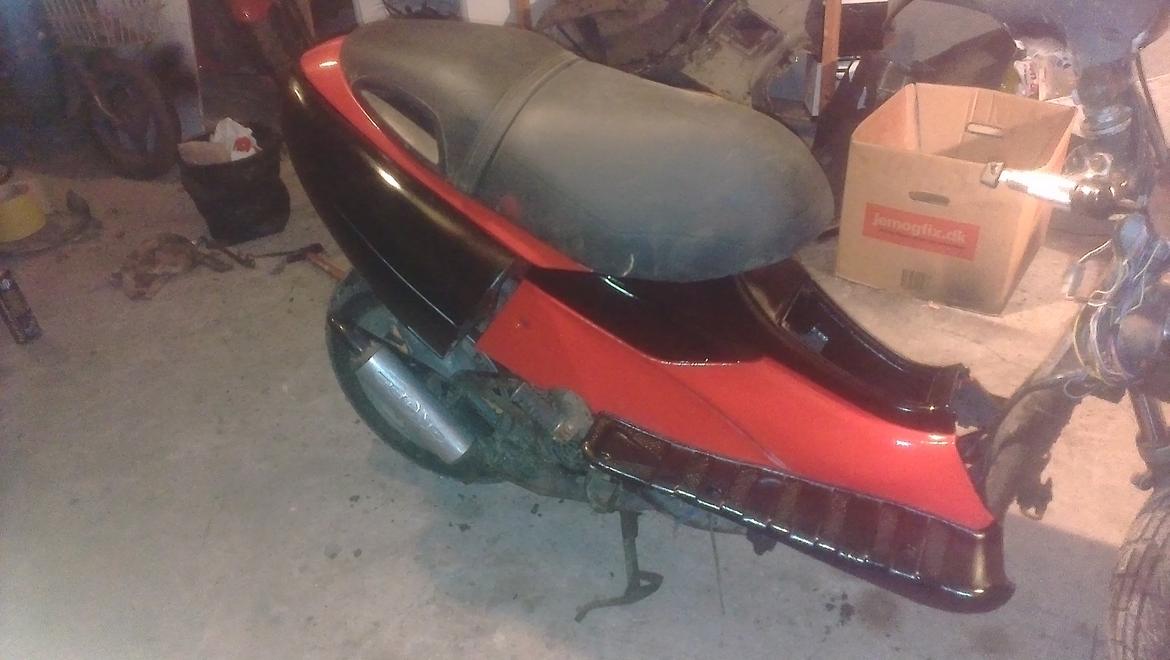 Benelli 491 st ac *Gerda* billede 8