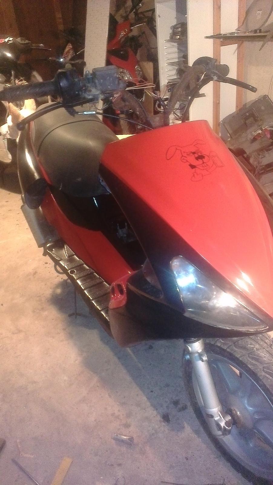 Benelli 491 st ac *Gerda* billede 9