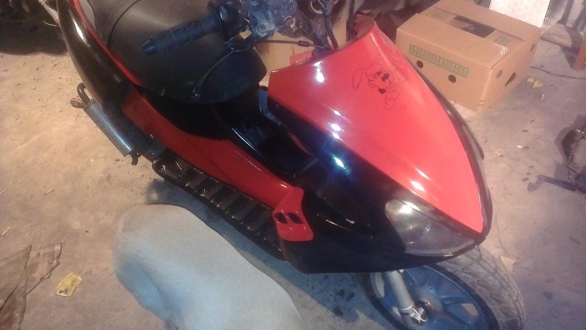 Benelli 491 st ac *Gerda* billede 10