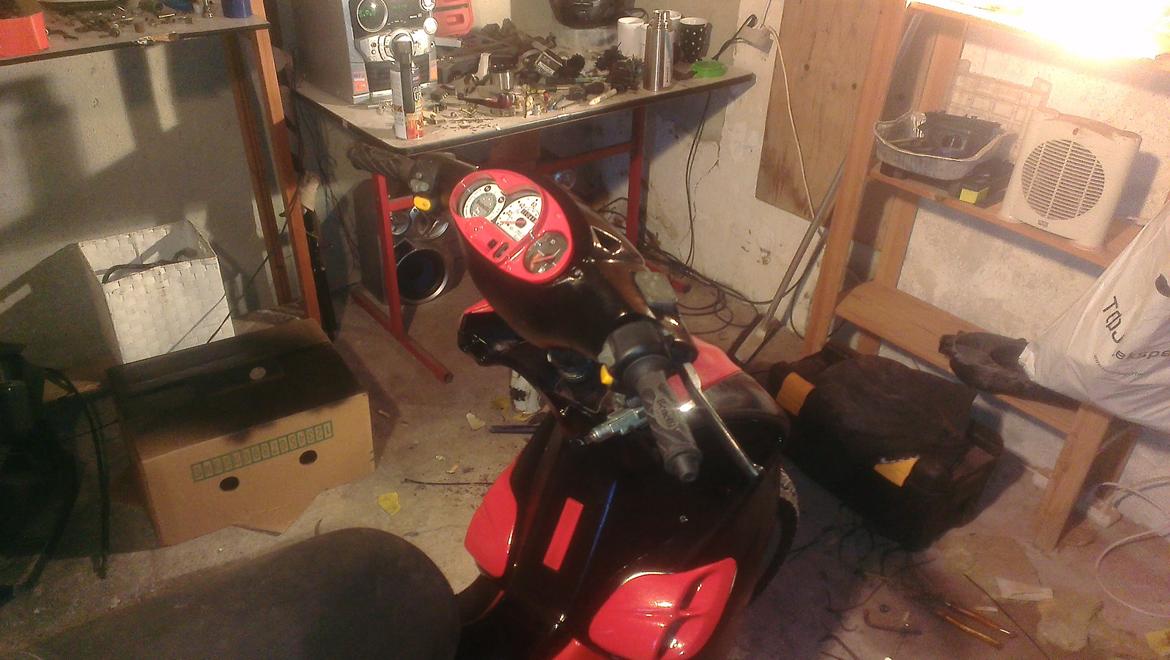 Benelli 491 st ac *Gerda* billede 12