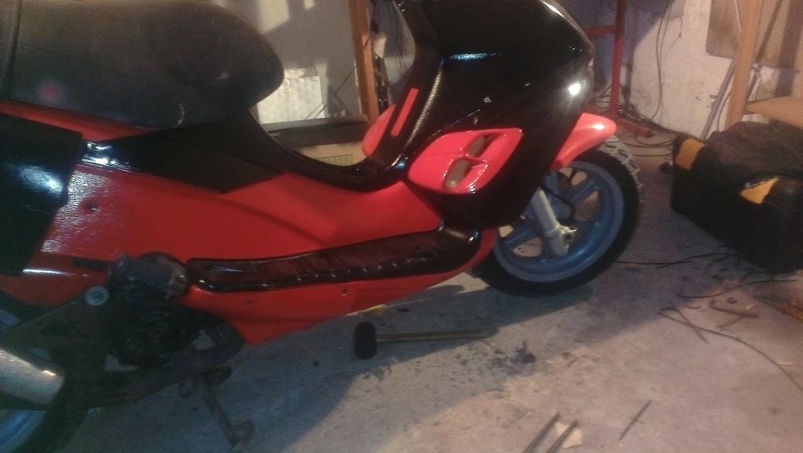 Benelli 491 st ac *Gerda* billede 13