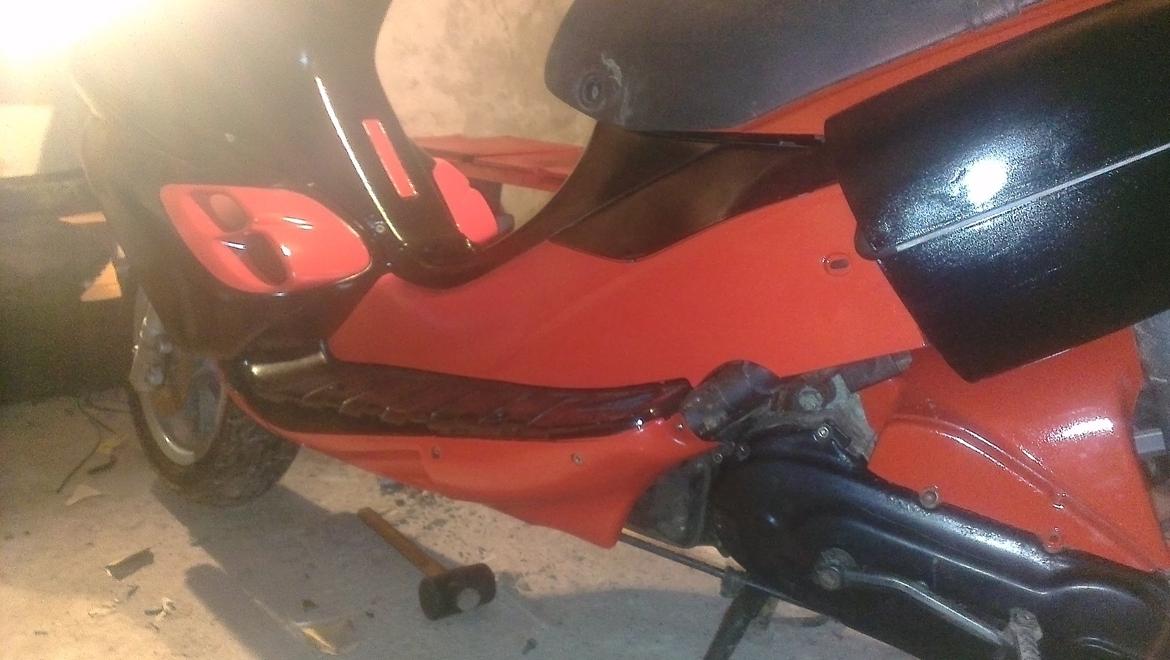 Benelli 491 st ac *Gerda* billede 15