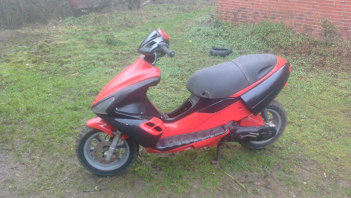 Benelli 491 st ac *Gerda* billede 16