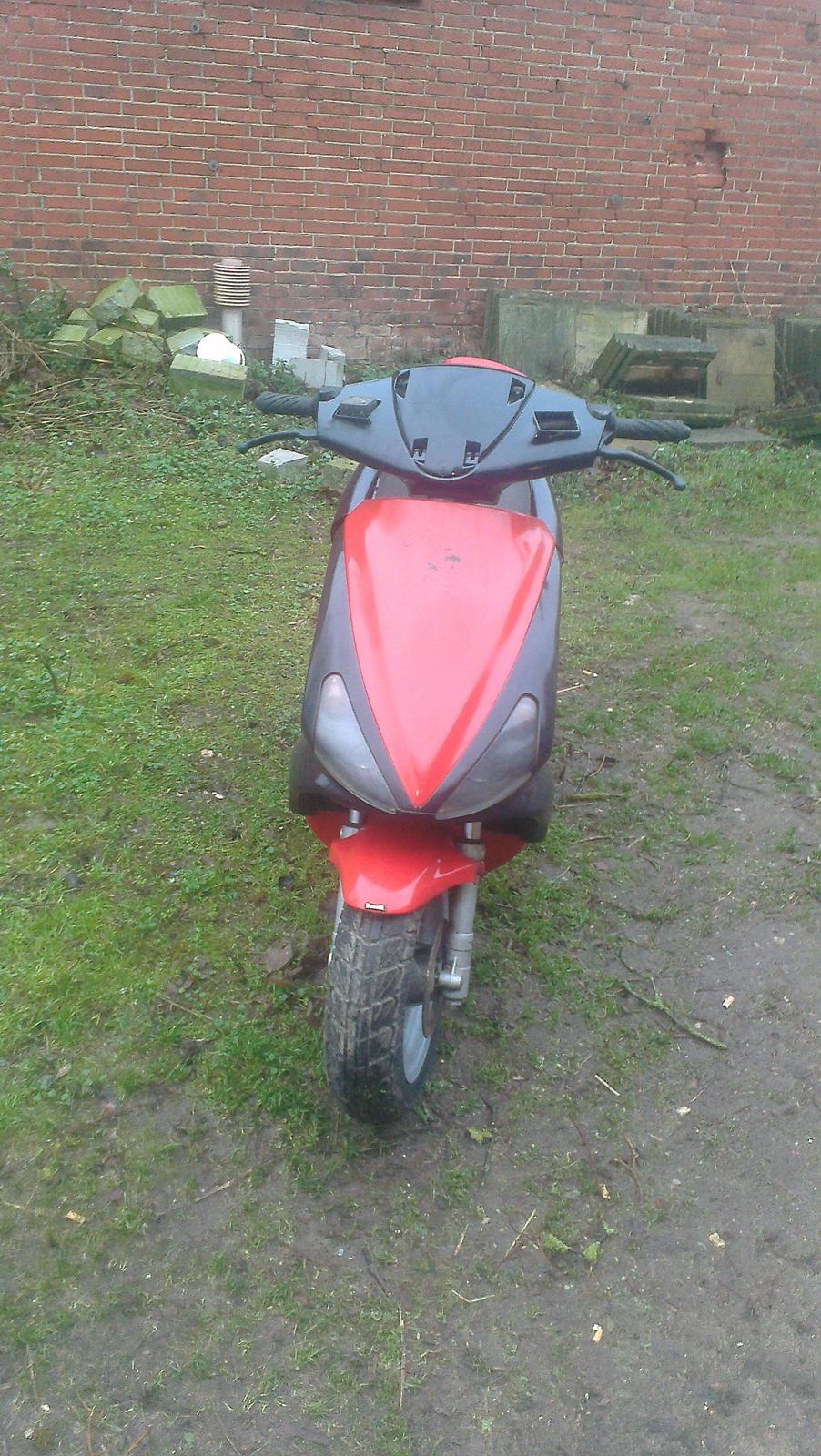 Benelli 491 st ac *Gerda* billede 17