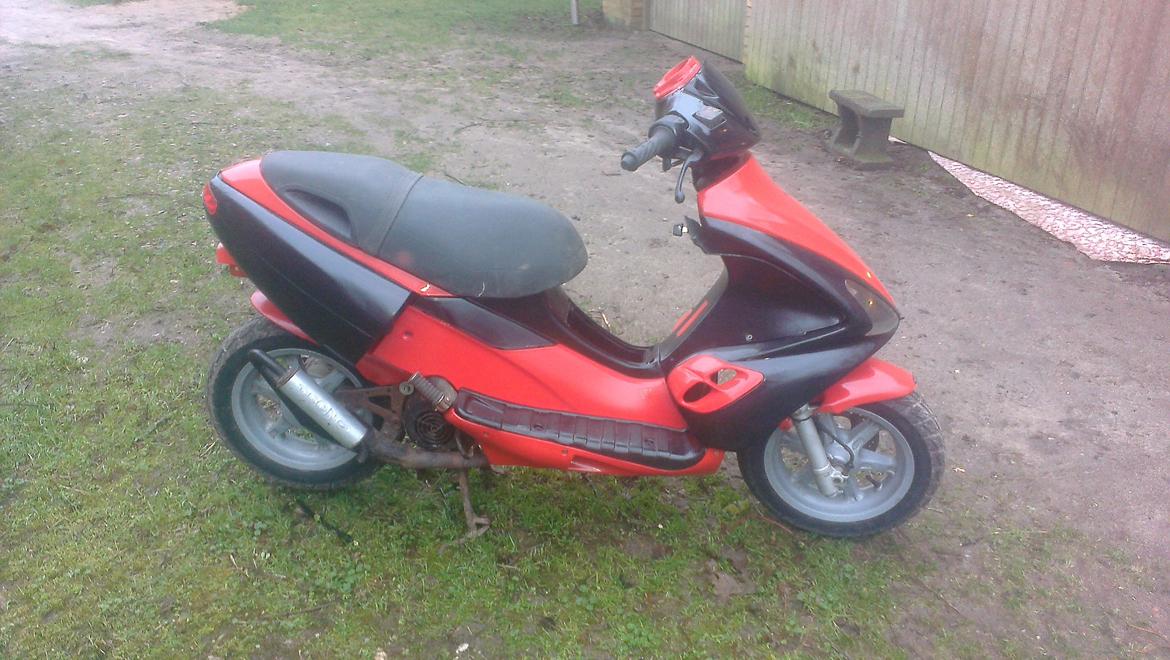 Benelli 491 st ac *Gerda* billede 18