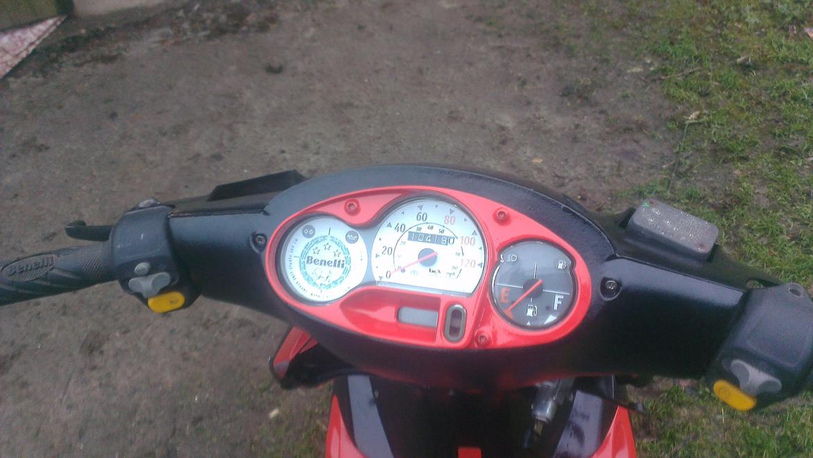 Benelli 491 st ac *Gerda* billede 19