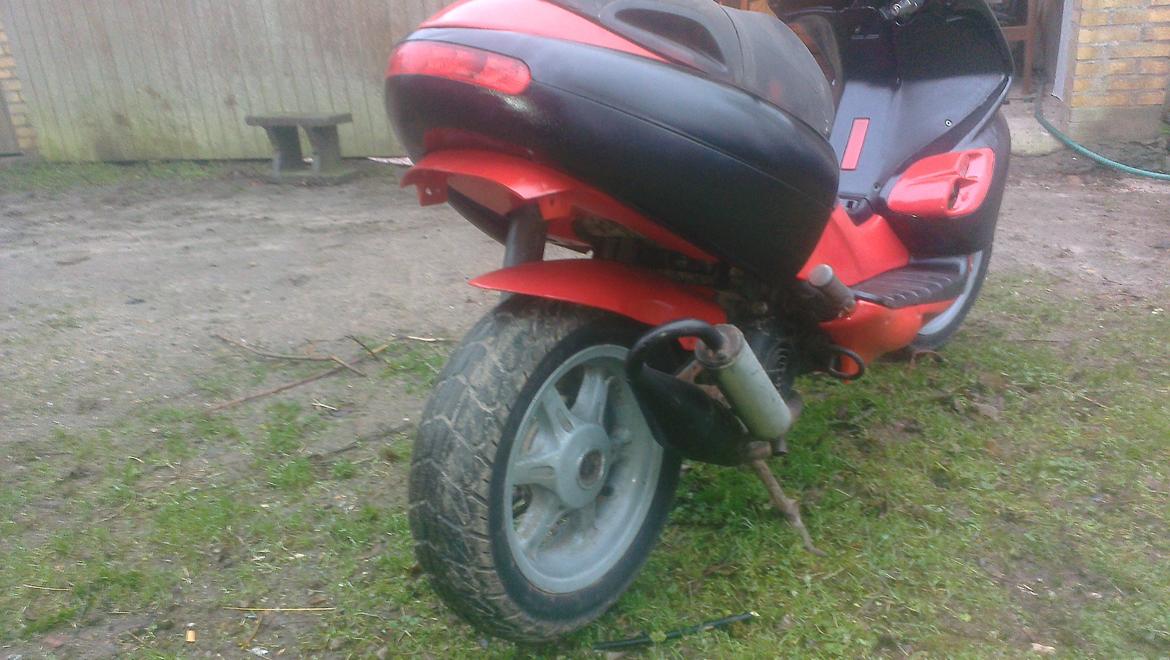 Benelli 491 st ac *Gerda* billede 20