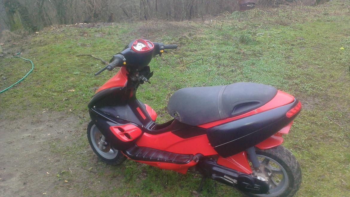 Benelli 491 st ac *Gerda* billede 21