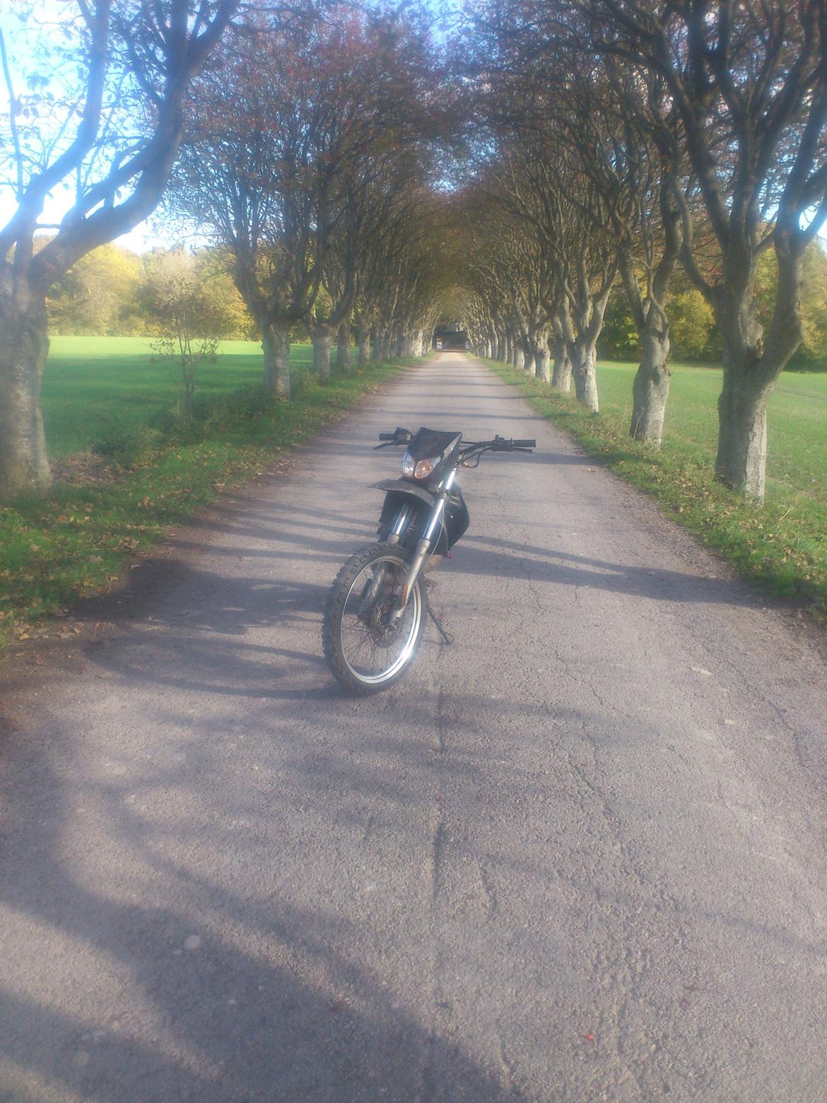 Gilera Rcr billede 3