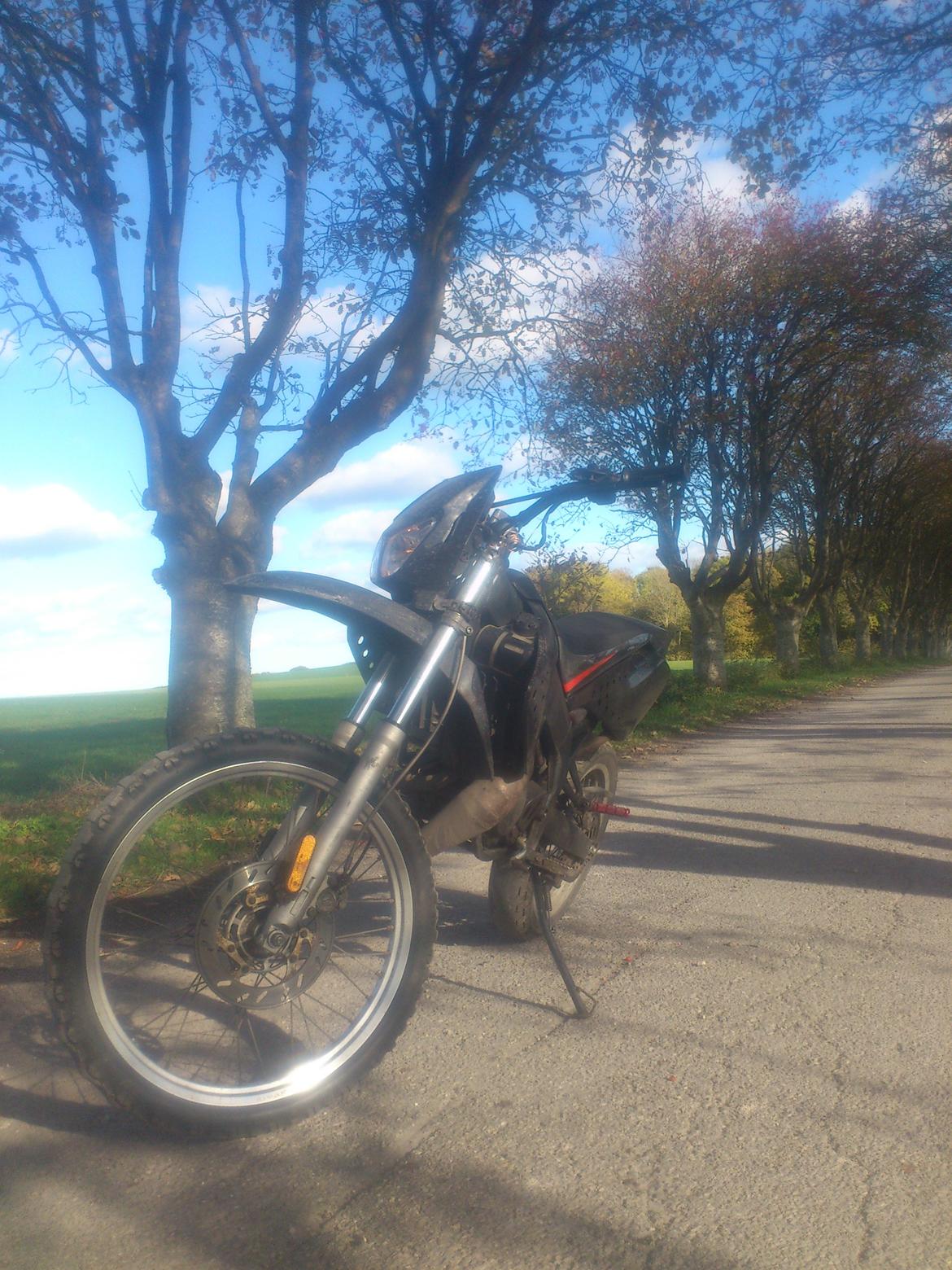 Gilera Rcr billede 4