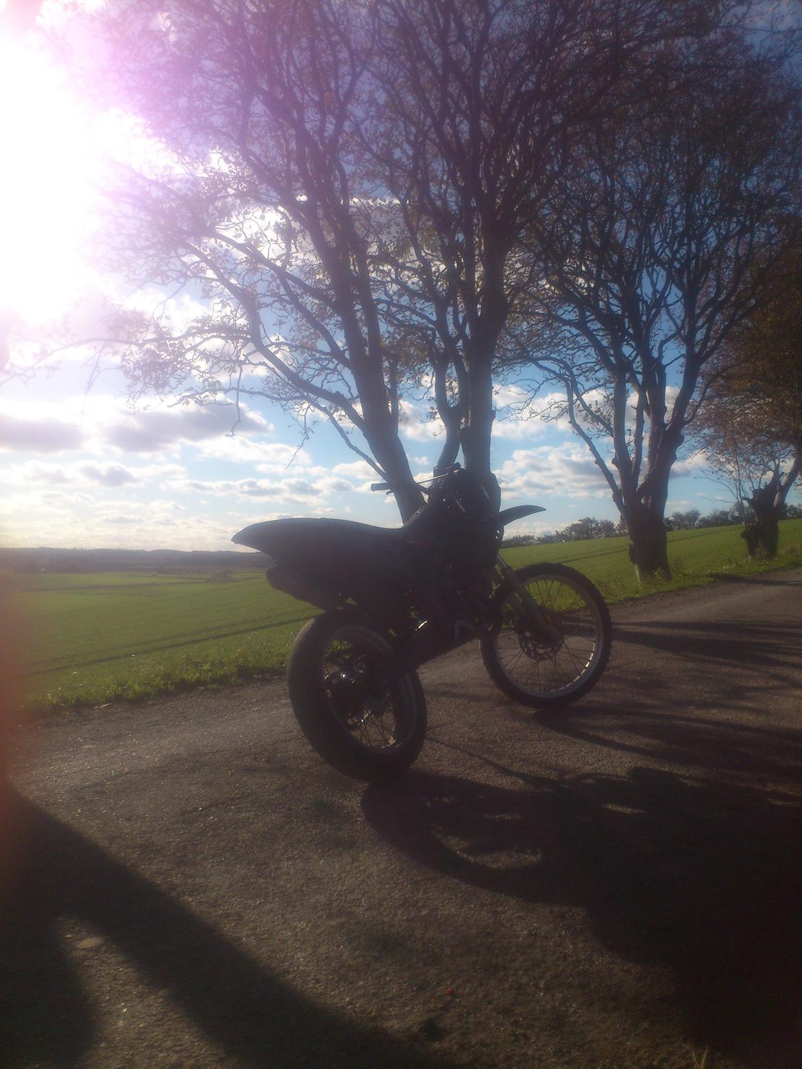 Gilera Rcr billede 5