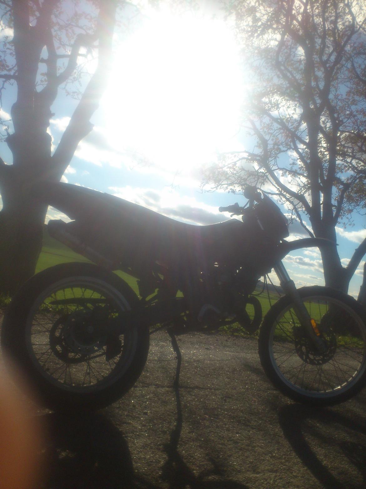 Gilera Rcr billede 6