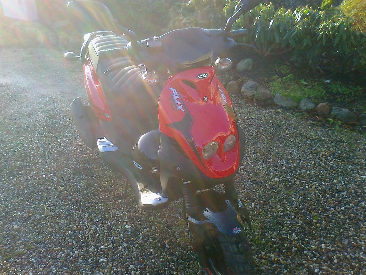 PGO PMX SPORT billede 1