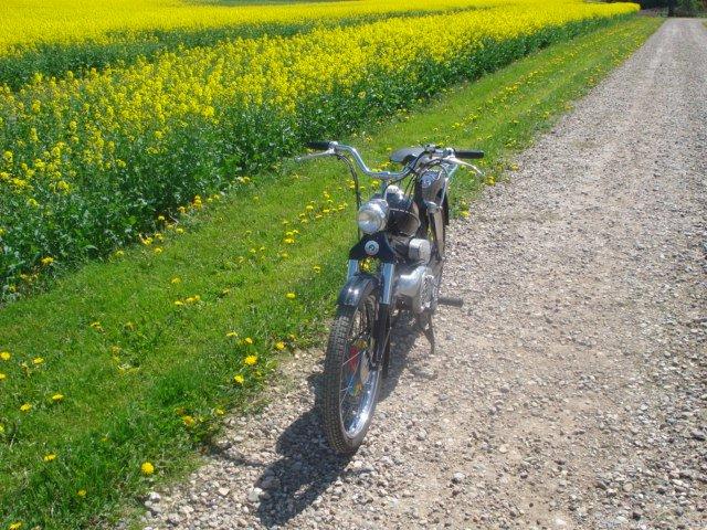 Puch MS 2 Gear billede 4