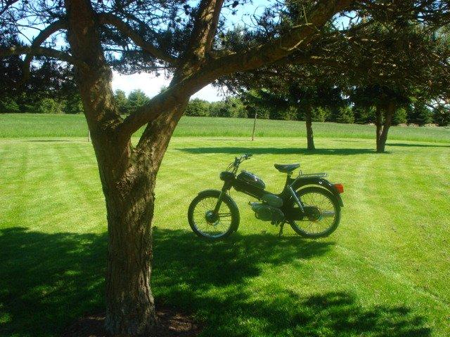 Puch MS 2 Gear billede 6