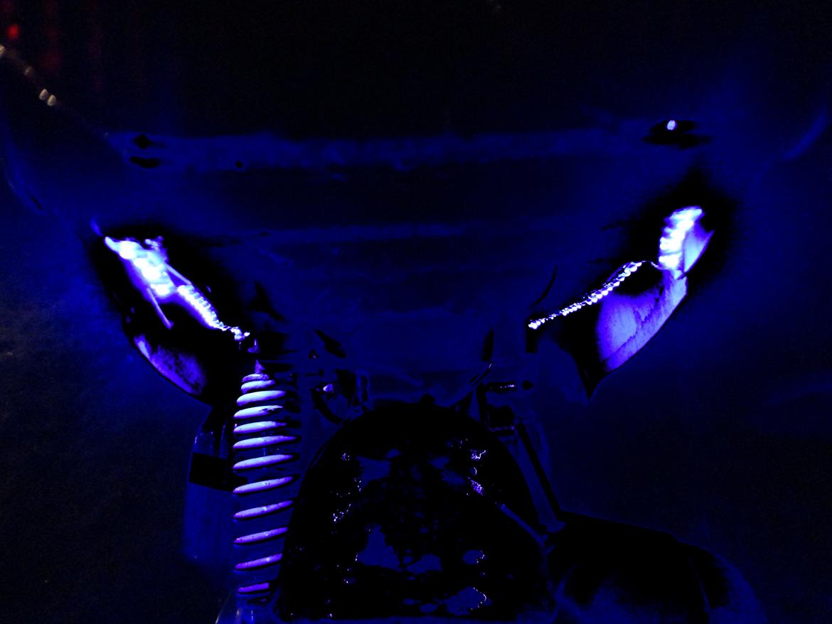 PGO Hot 50 billede 2