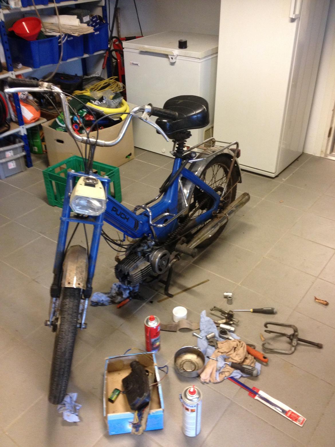 Puch Maxi k billede 12