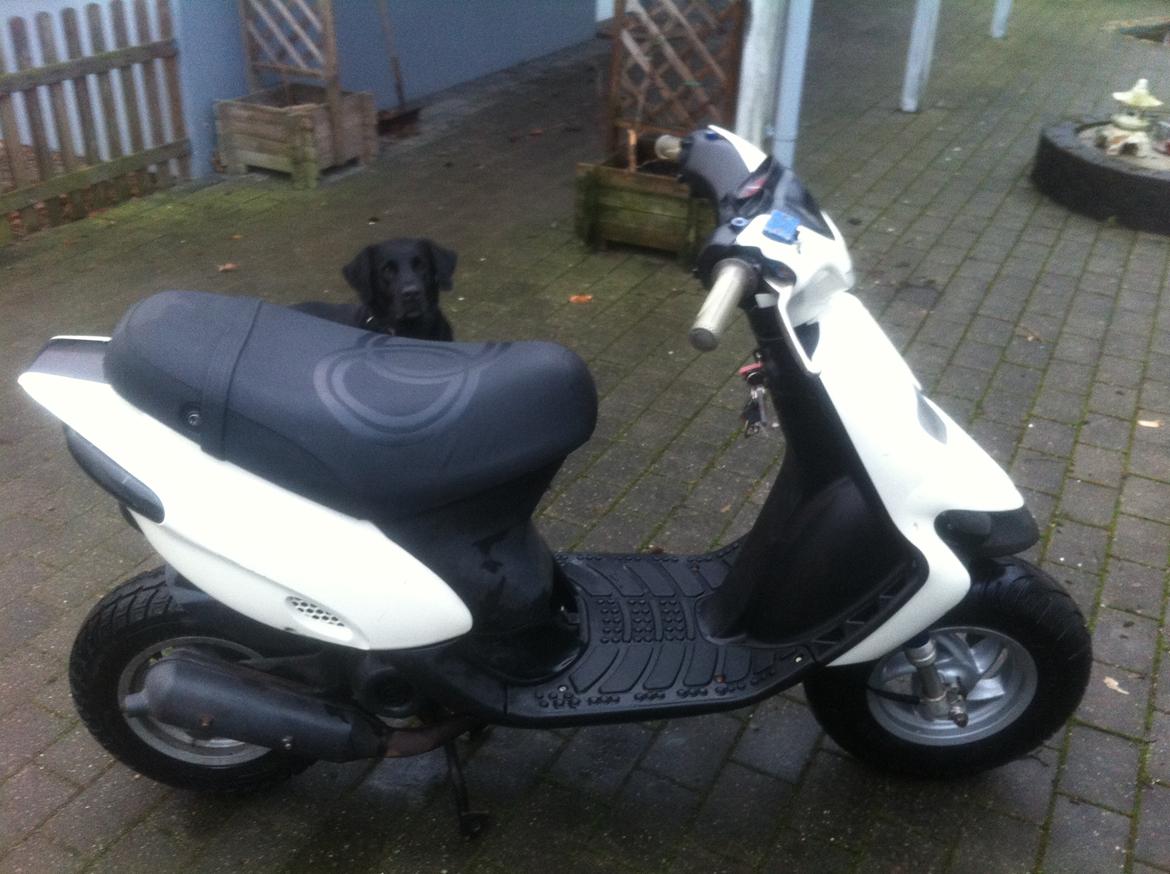 Gilera Stalker billede 9