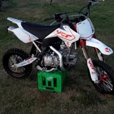 YCF factory pilot 150cc