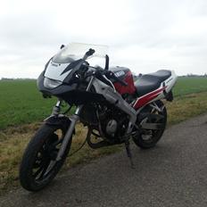 Yamaha Tzr 50