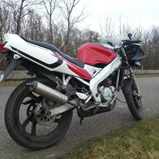Yamaha Tzr 50