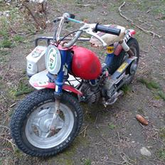 Honda camino / crosser. 50cc. SPECIAL ONLY 1.