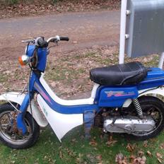 Suzuki Fz 50