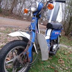 Suzuki Fz 50