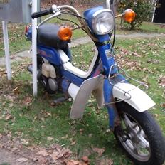 Suzuki Fz 50