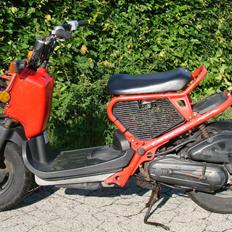 Honda Zoomer / Ruckus / NPS50