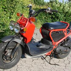 Honda Zoomer / Ruckus / NPS50
