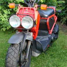 Honda Zoomer / Ruckus / NPS50