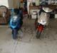 Aprilia sonic