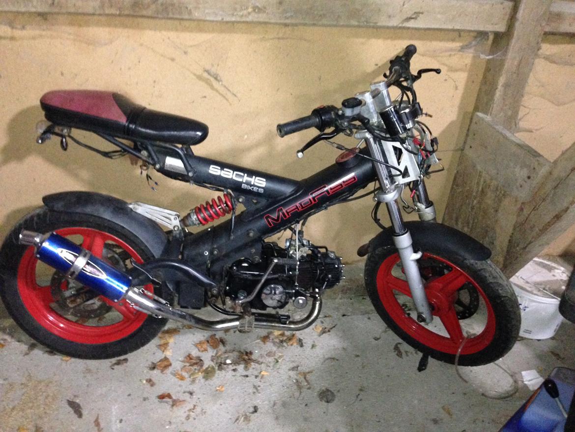 Sachs madass billede 1