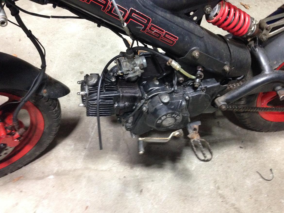 Sachs madass billede 4