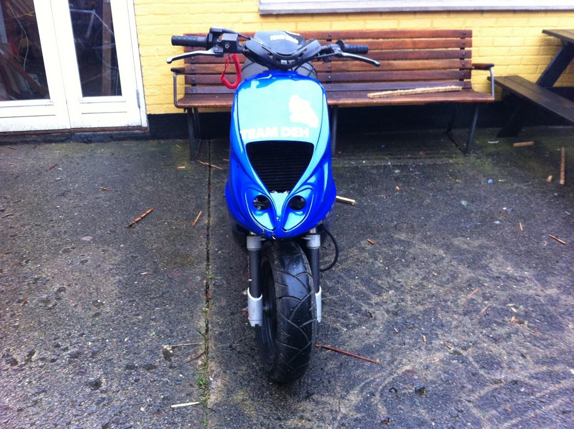 Piaggio Nrg/typhoon/ntt billede 2