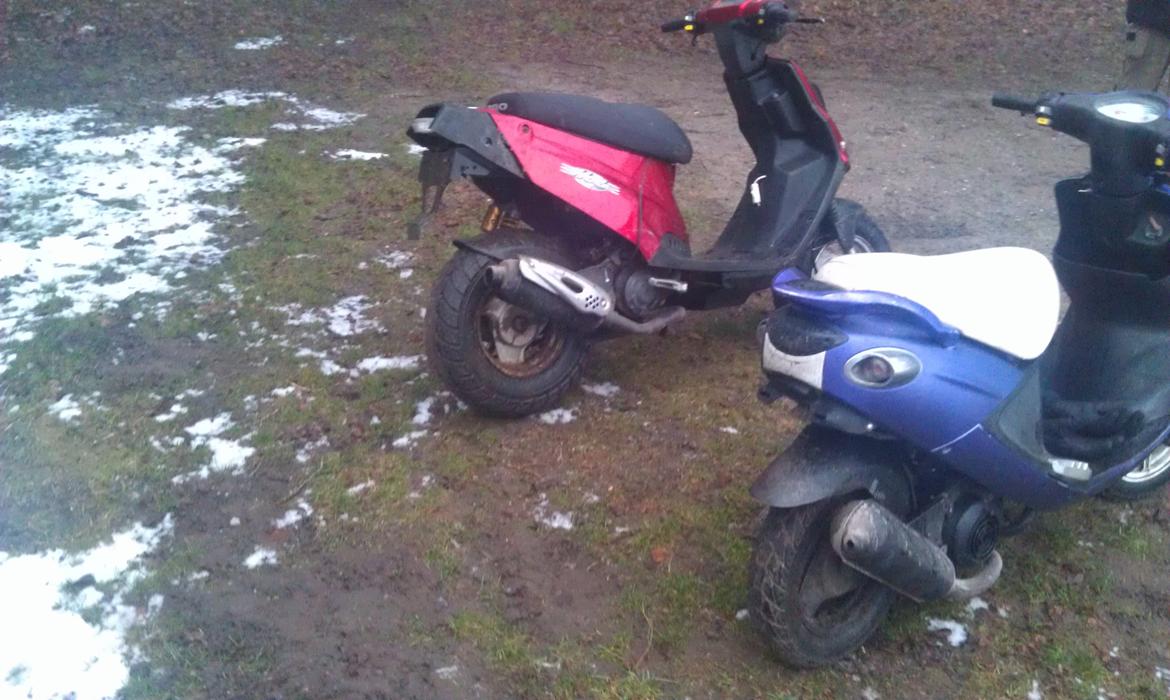 PGO black magic billede 14