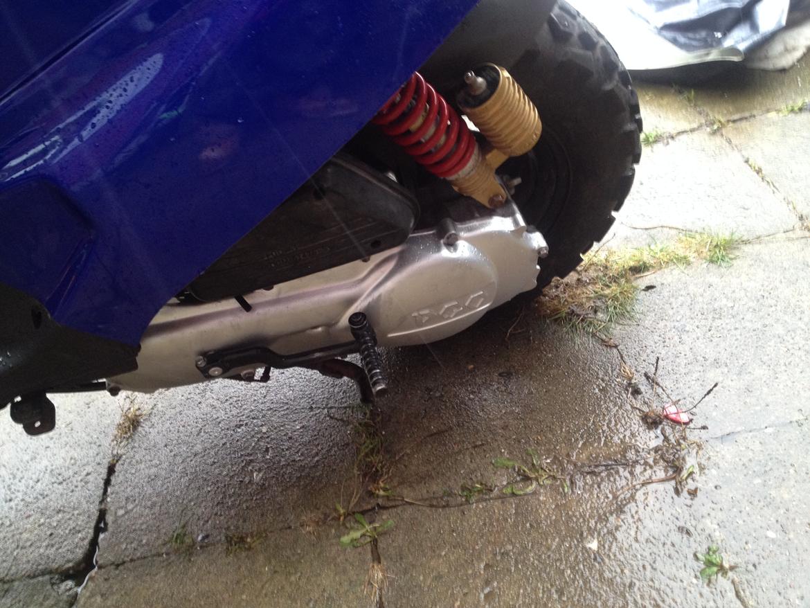 PGO hot 50 billede 11