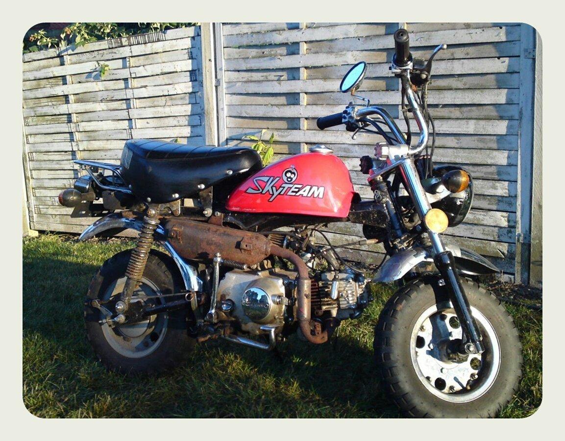 Skyteam Monkey Z 50 J billede 10