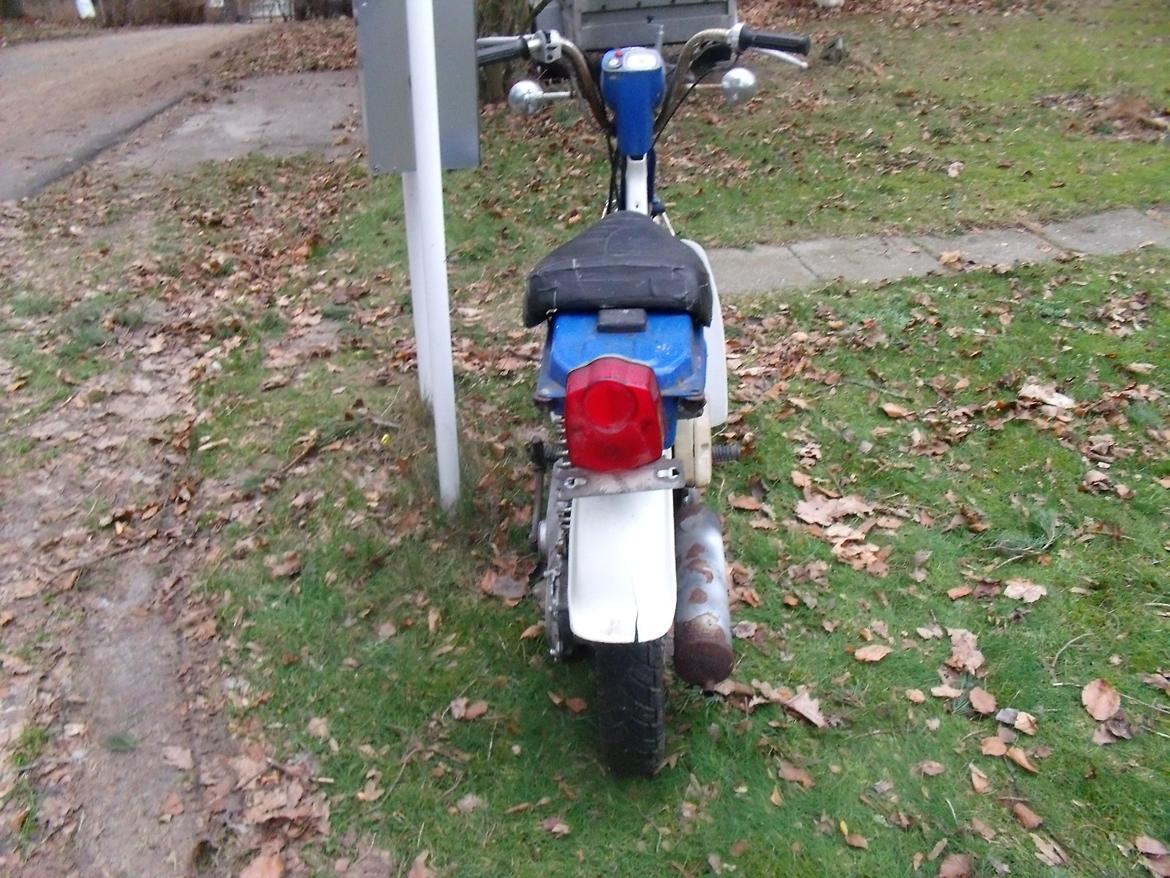 Suzuki Fz 50 billede 36