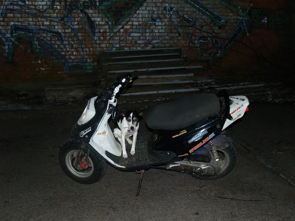 PGO Hot 50 billede 17